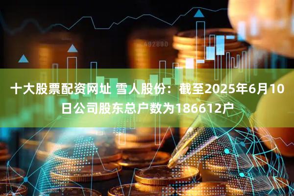 十大股票配资网址 雪人股份：截至2025年6月10日公司股东总户数为186612户